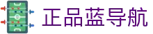 正品蓝导航 - 黄色导航